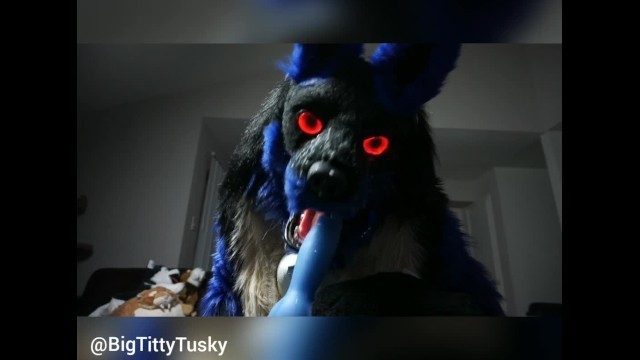 Lucario Sucking Cock and getting Smothered in Cum