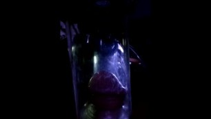 Erotic Experiment