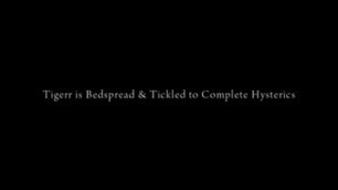 I AM LOOKING FOR THE FULL VERSION, HELP IS WELCOME!