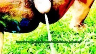 African Native PISSING outside Village